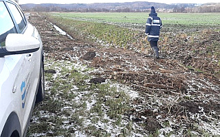 Poziom wód na Żuławach nadal stwarza zagrożenie. IMGW ostrzega